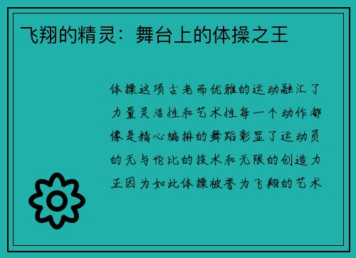 飞翔的精灵：舞台上的体操之王